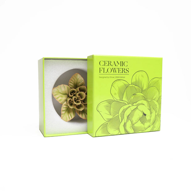 Ceramic Flower - Green lotus boxed