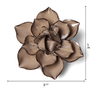 Chive Ceramic Flower Latte Daffodil