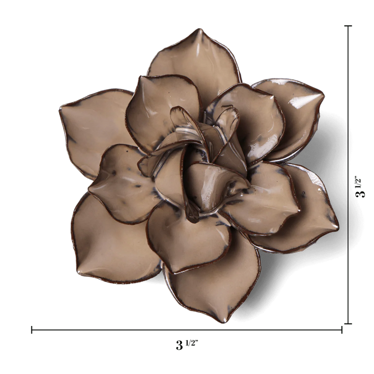 Chive Ceramic Flower Latte Daffodil