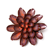 Ceramic Flower -rust medium