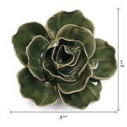 Chive Ceramic Flower Green Butterfly Ranunculus