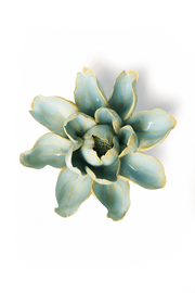 Chive Ceramic Flower blue Aurora Water Lily