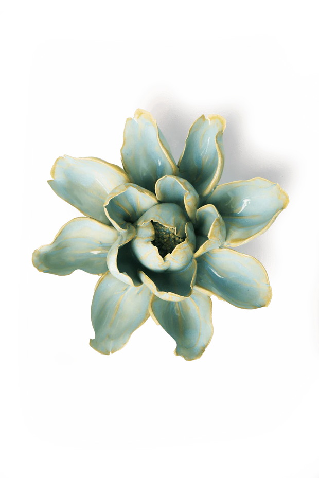 Chive Ceramic Flower blue Aurora Water Lily