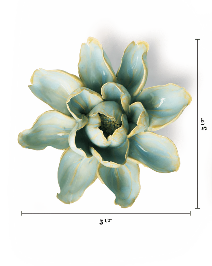 Chive Ceramic Flower blue Aurora Water Lily