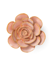 Chive Ceramic Flower Warm pink Cloni Ranunculus