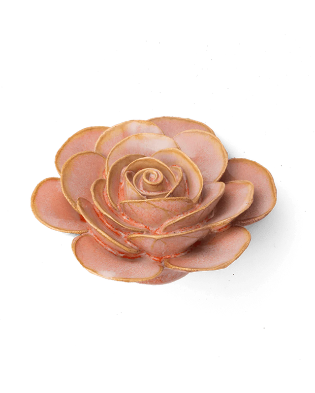 Chive Ceramic Flower Warm pink Cloni Ranunculus