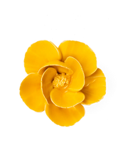 Chive Ceramic Flower Burnt yellow Poppy