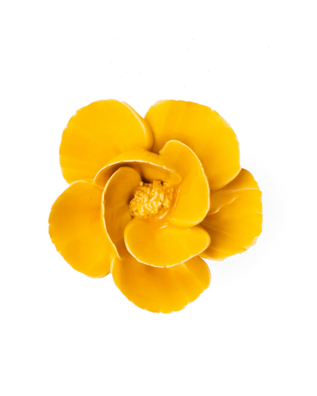 Chive Ceramic Flower Burnt yellow Poppy