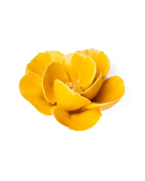 Chive Ceramic Flower Burnt yellow Poppy – Karger.
