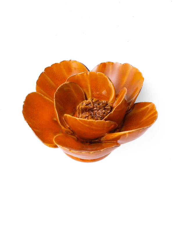 Chive Ceramic Flower Burn Orange Poppy