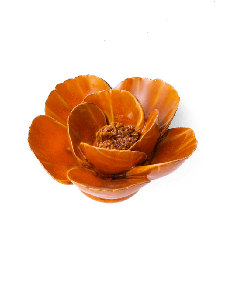 Chive Ceramic Flower Burn Orange Poppy