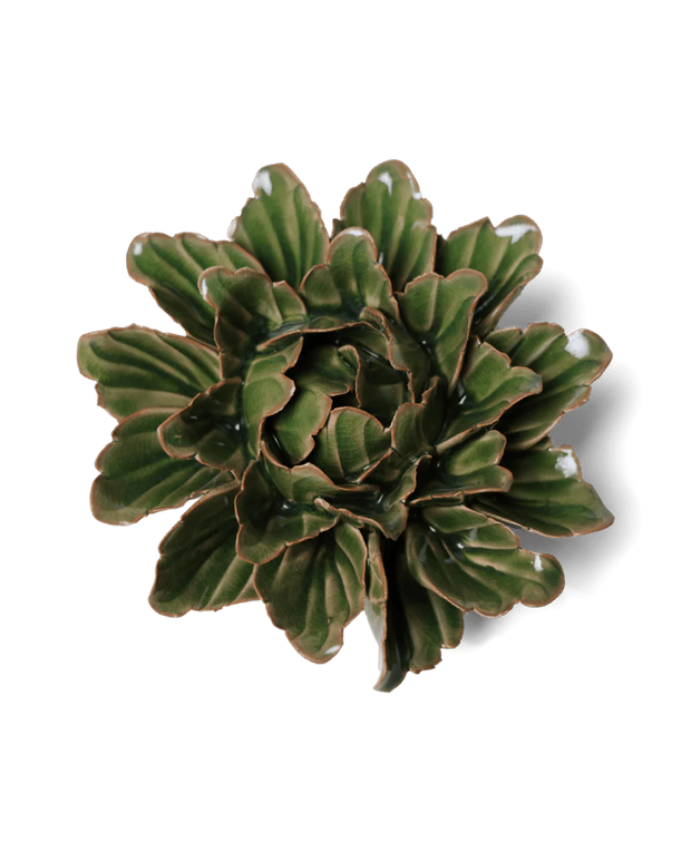 Chive Ceramic Flower Avocado Green Sorbet Peony
