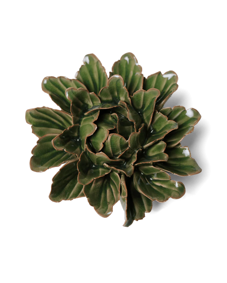 Chive Ceramic Flower Avocado Green Sorbet Peony