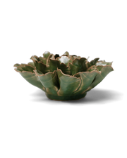 Chive Ceramic Flower Avocado Green Sorbet Peony