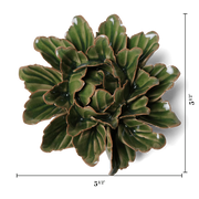 Chive Ceramic Flower Avocado Green Sorbet Peony