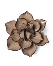 Chive Ceramic Flower Latte Daffodil