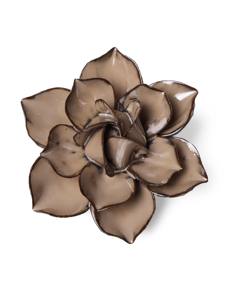 Chive Ceramic Flower Latte Daffodil