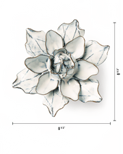 Chive Ceramic Flower white Columbine