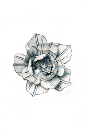 Chive Ceramic Flower white Purslane