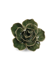 Chive Ceramic Flower Green Butterfly Ranunculus