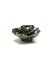 Chive Ceramic Flower Green Butterfly Ranunculus