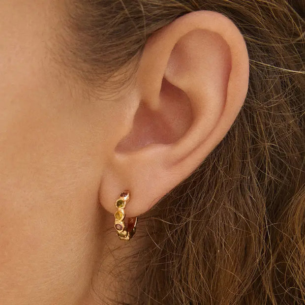 Frutina Earrings gold waterproof