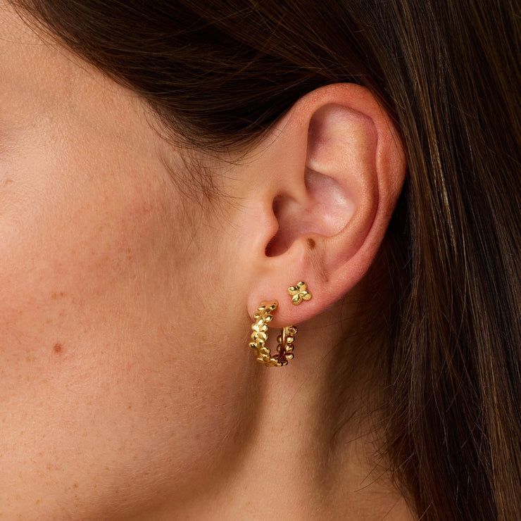 Laura earrings waterproof gold plate
