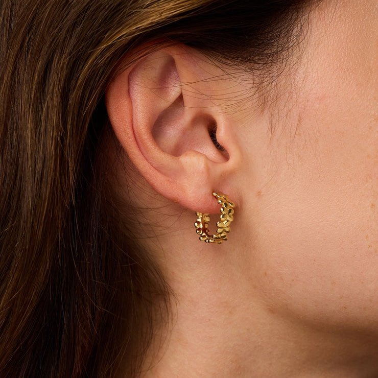 Laura earrings waterproof gold plate