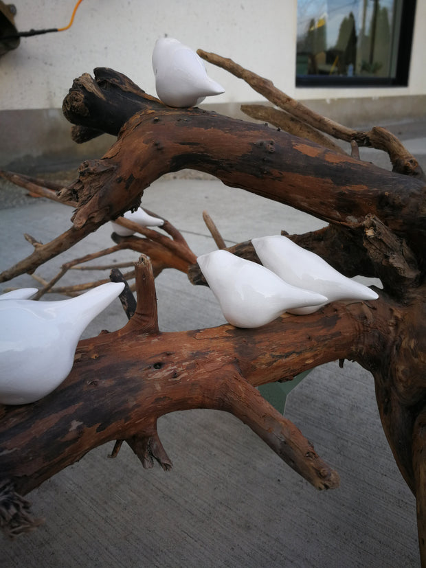 Multiple birds on driftwood x-large