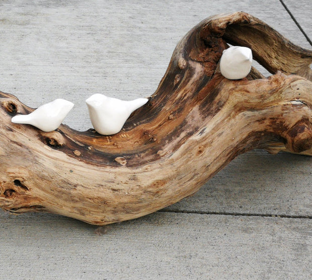 7 White Birds on Driftwood