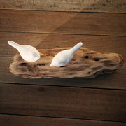 White Bird on Driftwood 2D