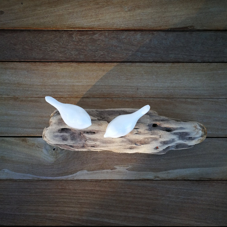 White Bird on Driftwood 2D